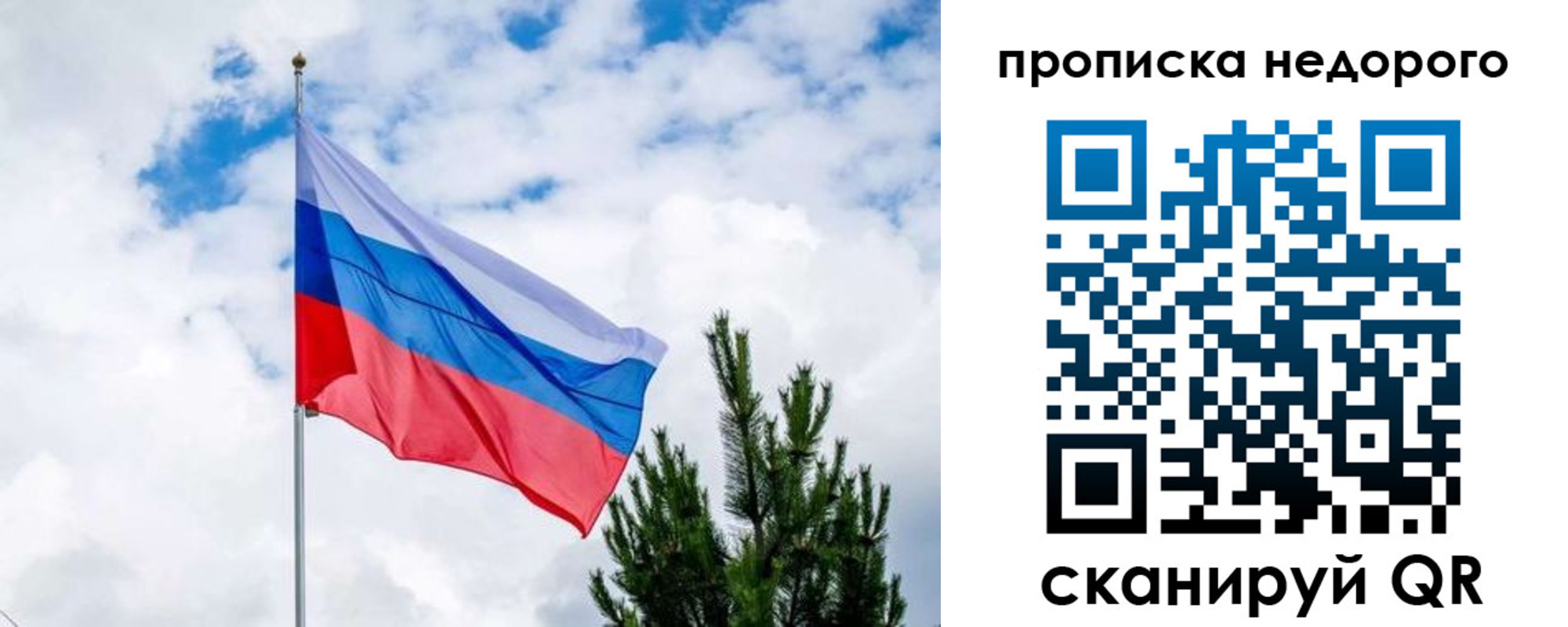 прописка ребенка в Кингисеппе